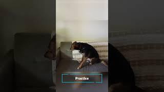 Practice Makes Perfect! | #shorts #shortsvideo #shortsfeed #shortsyoutube