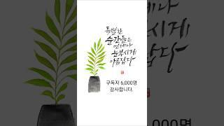 구독자 6,000명 감사합니다. 더 높이 날아 오르게 날개짓 열심히 할게요~ #여리캘리 #캘리그라피고수되기 #감사인사