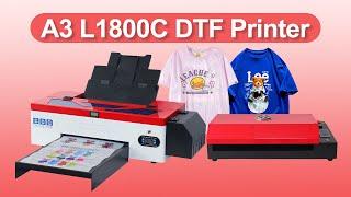 COLORSUN A3 L1800C  t shirt DTF printer  PET film oven with roll holder  Direct to Film Printer