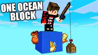 I Survived 100 Days on ONE OCEAN BLOCK in Hardcore Minecraft