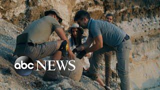 Major archaeological discoveries in 2022 l ABC News