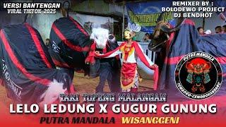 PUTRA MANDALA BANTENG KREASI MASA KINI,, DJ BANTENGAN MBEROT 2025