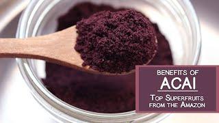 Benefits of Acai, One of the Top Fruits from the Amazon