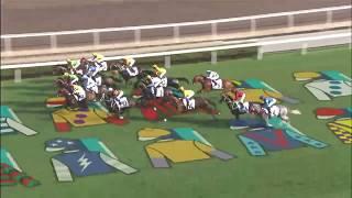 [2020 寶馬香港打吡大賽]「金鎗六十」勝出2020寶馬香港打吡大賽