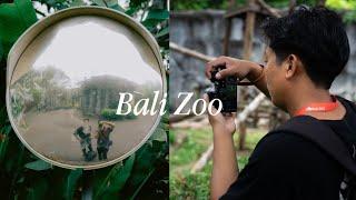 BALI ZOO