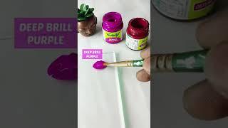 Fuchsia Colour | Colour Mixing | Fevicryl Acrylic Colours | Hobby Ideas