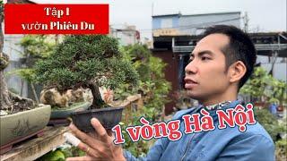 (Tập 1 ) Vườn Phiêu Du | seri : 1 vòng Hà Nội cùng Bonsai Ông Trẻ