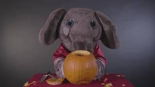 The University of Alabama: Big Al Pumpkin Carving Contest (2017)