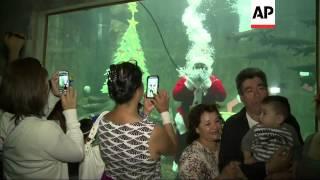 Guadalajara Zoo has added a sub-aquatic Santa Claus to its attractions to greet visitors to the aqua