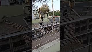 statue #youtube #viral #trending #soumya
