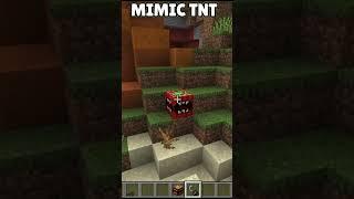 TYPes of tnT #minecraft