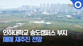 인하대학교 송도캠퍼스 부지 매매 재추진 전망 / OBS 경인플러스