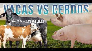 Vacas VS Cerdos  Quien Genera Más Millones