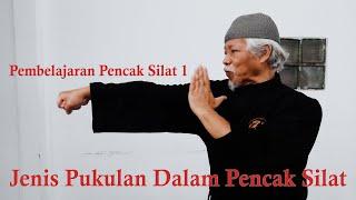 Mastering Punches in Pencak Silat | Learn Pencak Silat Techniques