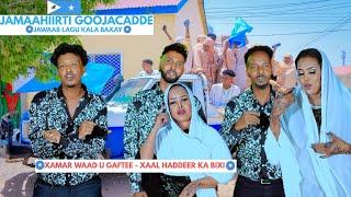 AWALE DAYR Ft Xiddigaha Puntland -Layla Ubax, Mowliid Jagax, Jamaal & Deeqa| KA XOROW CAQLIGA | 2024