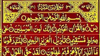 Surah Yaseen Surah Rahman || Best Qur'an Recitation || Yaseen Surah full || Surah Mulk Tilawat