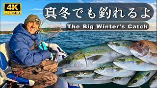 Epic Winter Yellowtail Fishing from a Small Boat in Japan!