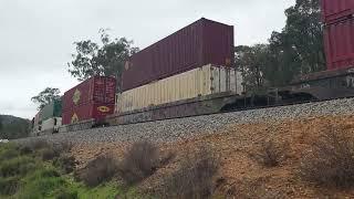 Trains of Western Australia...Rail fanning Avon Valley...8th August 2021.