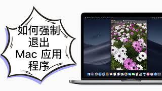 mac应用无响应？如何强制退出Mac 应用程序