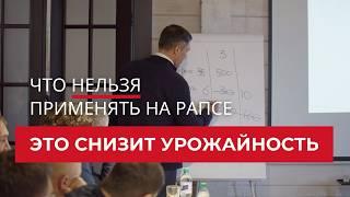 Это снизит урожайность. Что нельзя применять на рапсе | Агроном | Сергий Ризанов