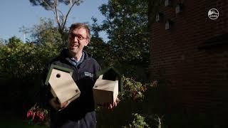 Bird Boxes & Where to Put Them | RSPB