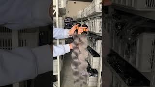 100% human hair weaves, human hair bundles, grey color hair bundles