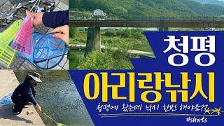 사계절 스포츠 낚시! 쉽게 알려드려요! [아리랑 낚시.총포]_청평여울시장.