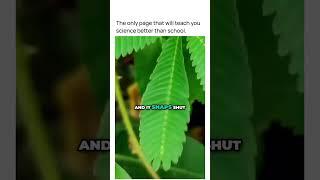 The only page dedicated to teach you science better than school -PART 03