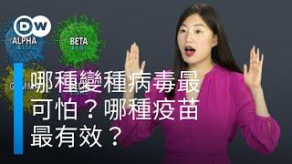 哪種變種病毒最可怕？哪種疫苗最有效？| DW一看你就懂