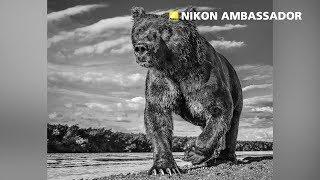 David Yarrow | Embajador