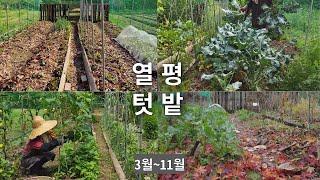 Effective vegetable gardening of small vegetable gardens in Korea /from March to December