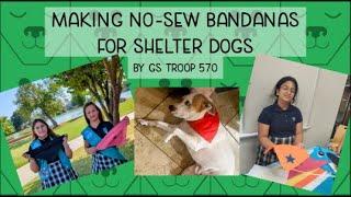 Making No-Sew Bandanas for Shelter Dogs