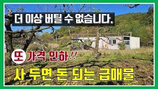 밀양 토지 매매-매물976번(또 가격 인하!!  더 이상 버틸 수가 없습니다.  사 두면 돈 되는 급매물)