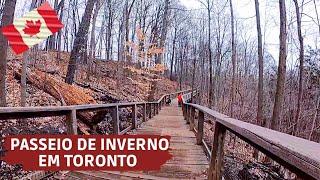 ONDE IR EM TORONTO NO INVERNO - Walk | Clima - Viajar para o Canadá