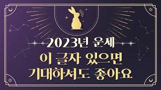 2023년 운세 이글자 있으면 기대하셔도 좋아요-479강