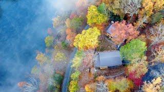 Luxury cabin experience (South Holston River)