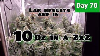 2x2 Grow Tent 10oz Challenge with the Mars Hydro TSW2000 Day 70/Day 35 Flower , Lab Results are In!!