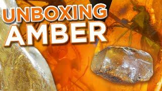 Amber: Unboxing 10,000,000 Years! | Insect-Infused + Copal