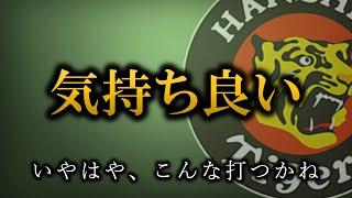 最高かよ、いや最高かよ【阪神タイガース】