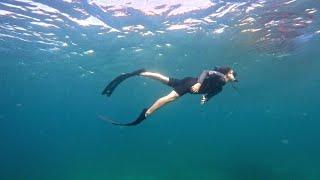 보라카이 호핑투어 프리다이빙 스노클링 스킨다이빙 boracay boracayfreedive boracayfreediving boracaydiving