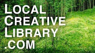 Local Creative Library Ad (15 Seconds)