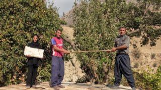 Journey to the world of Iranian nomads: building a house with beams and boards