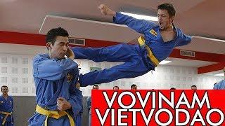 Vovinam Viet Vo Dao