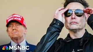'Damage already done': Alicia Menendez on Musk’s departure