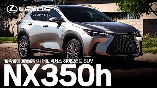 정숙성에 효율성까지 더한 렉서스 프리미엄 하이브리드 SUV 'NX350h' [렉서스 순천전시장 NX350h 리뷰]