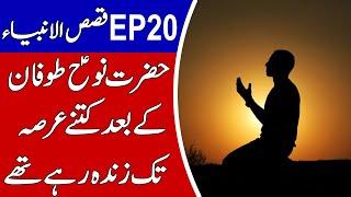 Qasas ul Anbiya EP 20 | Hazrat Noah A.S Life| Talha Films