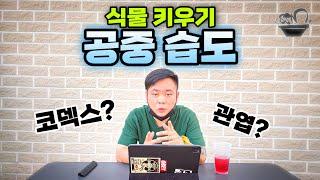 식물을 고습도로 키워야 좋다고요? / 식물과 공중 습도 관리에 대한 팩트 체크