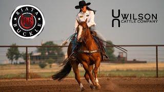 "Flintstone" - Wilson Cattle Co x Riata Buckle Horse Sale 2024