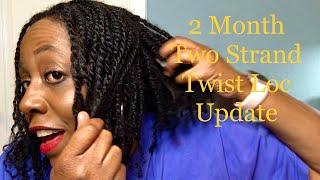 2 MONTH Two Strand Twist LOC Update and Counting...