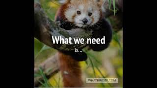 What Do Teachers Need?